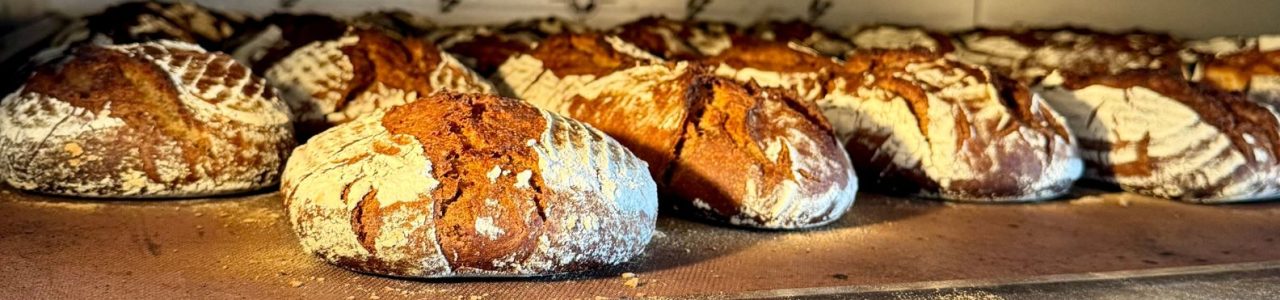 bannière de pains épeautre en cuisson dans le four